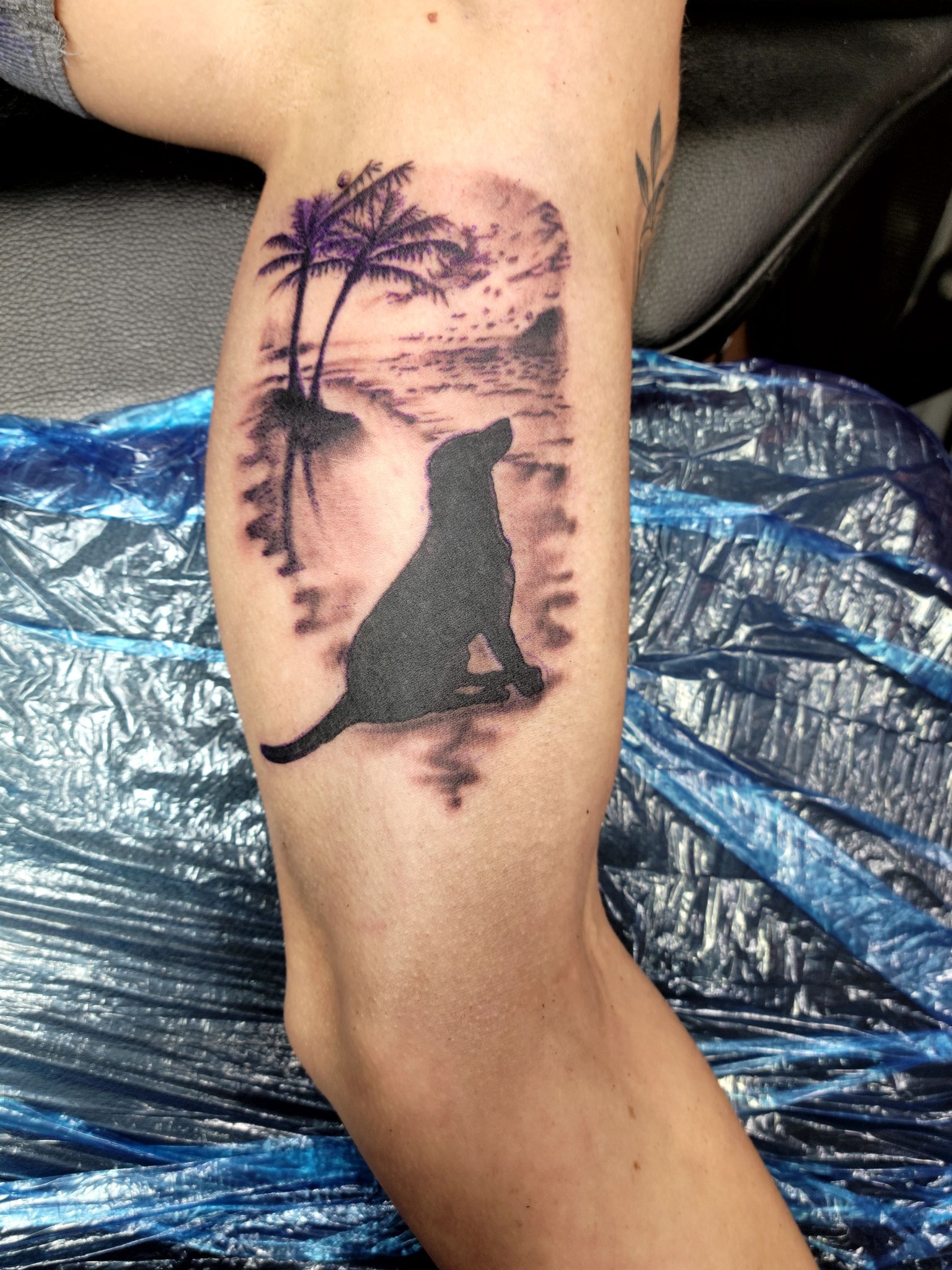 505106281 4137055079851204 2605898859958284747 N 1